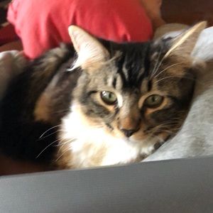 Meet your Posher, Kevin